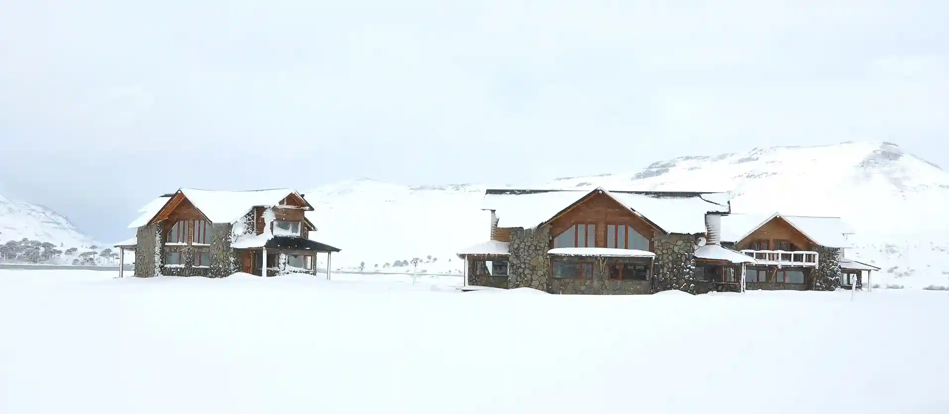 Foto número 7 de frontera andina